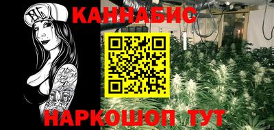 шишки Краснодар