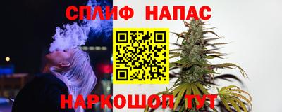 apvp Краснознаменск