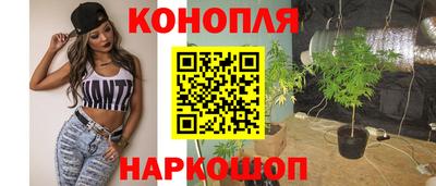 шишки Краснодар
