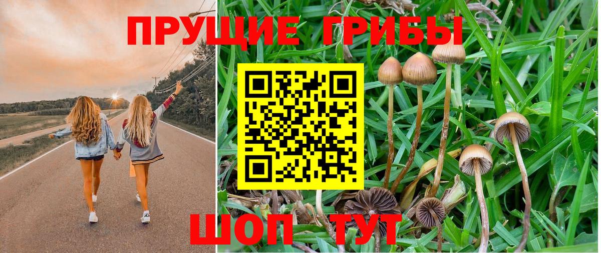 Галлюциногенные грибы MAGIC MUSHROOMS Гусев